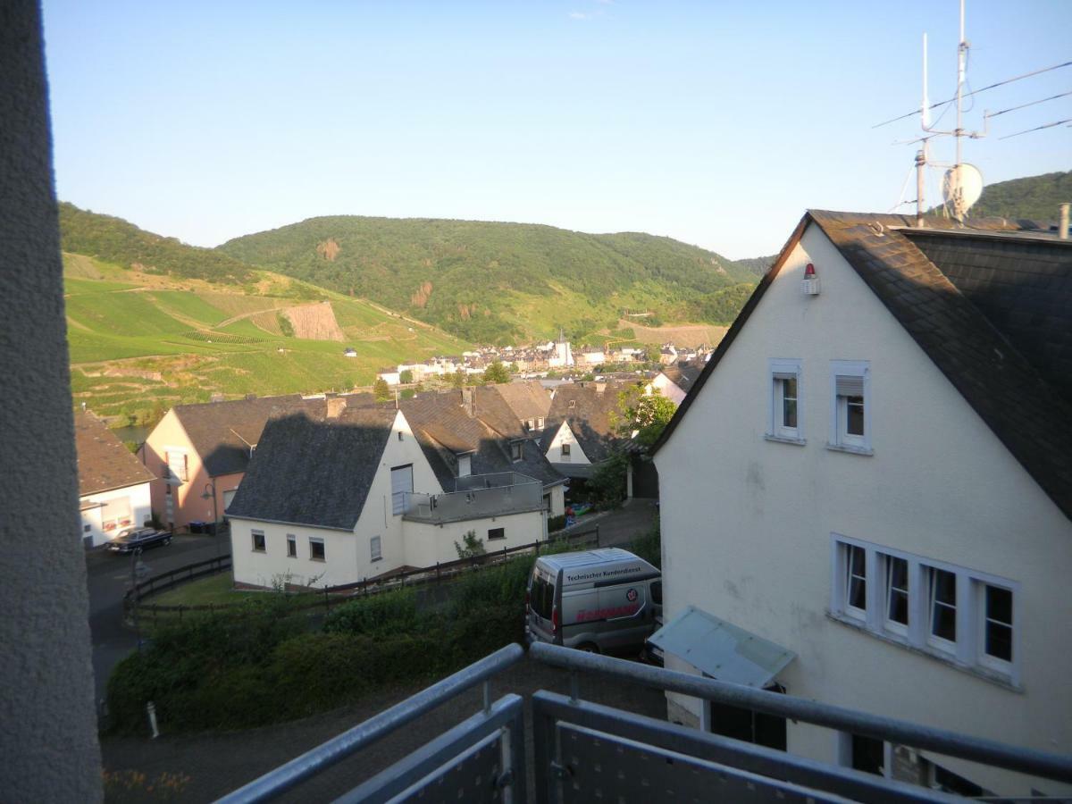 Ferienwohnung Bernkastel-Kues - Alte Rebschule Exterior photo